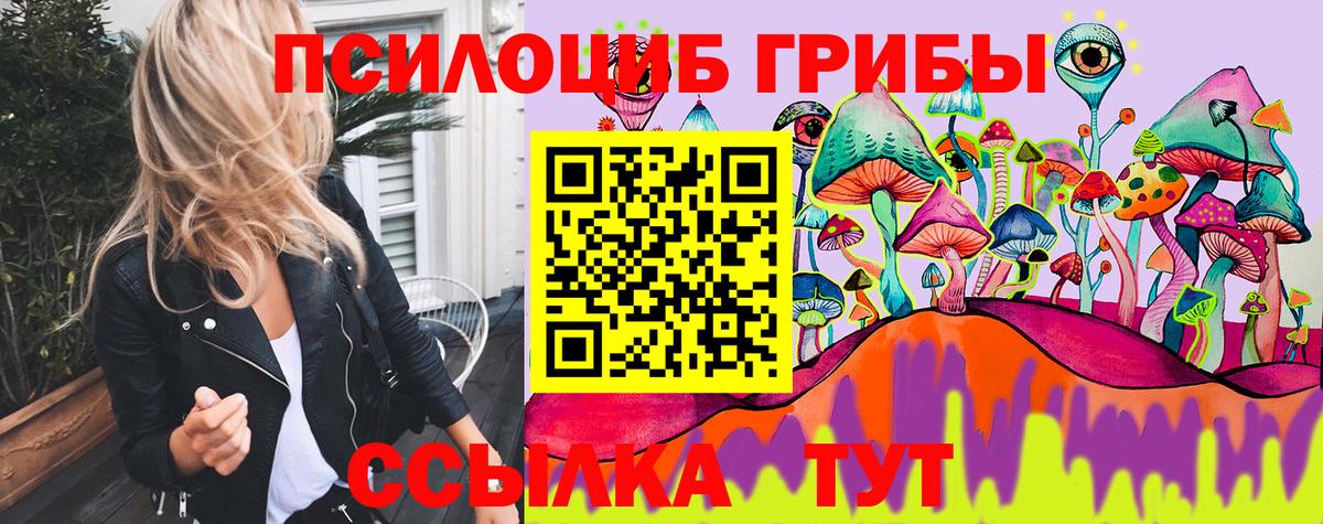 где купить наркотик  Псилоцибиновые грибы Psilocybe  Вход с VPN  Армавир 